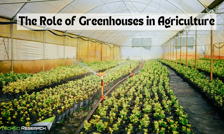 The Role of Greenhouses in Agriculture